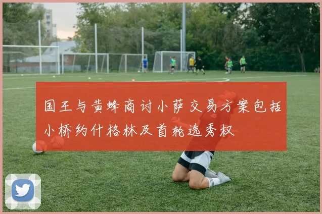国王与黄蜂商讨小萨交易方案包括小桥约什格林及首轮选秀权
