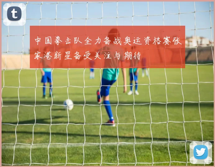 中国拳击队全力备战奥运资格赛张家港新星备受关注与期待